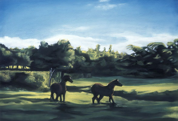 Fine Art Pastel ~ Sally Phillips ~ Ponies In My Pasture