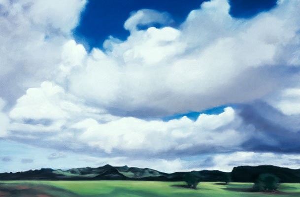 Fine Art Pastel ~ Sally Phillips ~ Kilauea Pasture Land